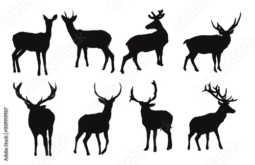 Deer silhouettes Illustration Set, Black and White Silhouettes. Collection of Different Deer Poses, Perfect for Logo, Design, and More.