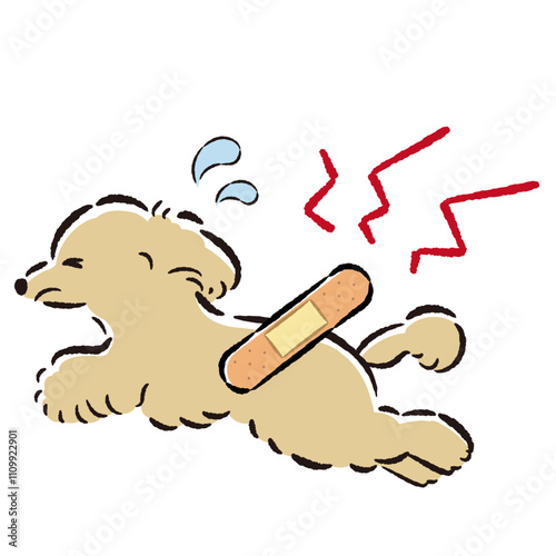 Illustration of an injured dog with a troubled expression