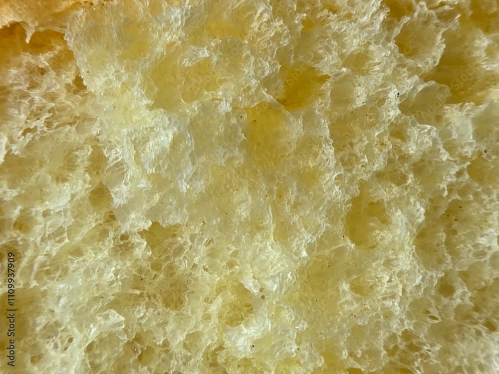 close up golden cake texture. cake texture background. close up golden cake texture. cake texture background.
