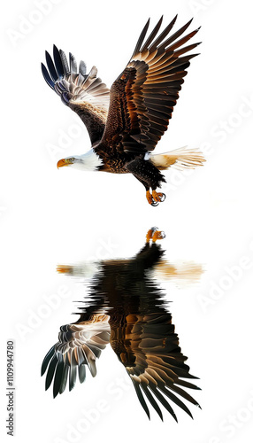 A majestic eagle soaring through the sky, showcasing its powerful wings and beautiful reflection.