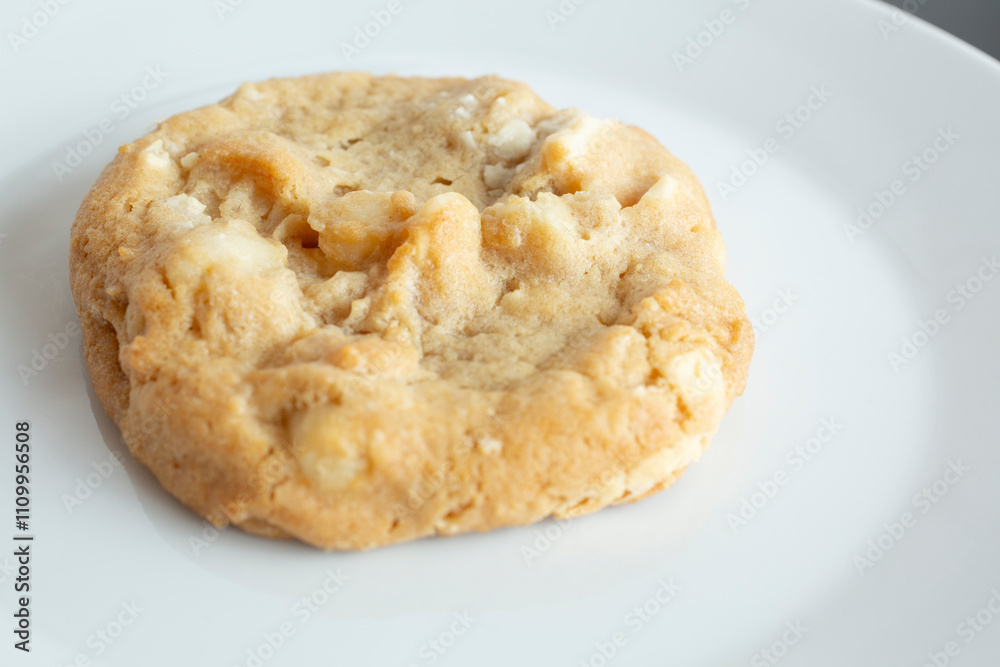 A closeup view of macadamia white chocolate cookie. A closeup view of macadamia white chocolate cookie.