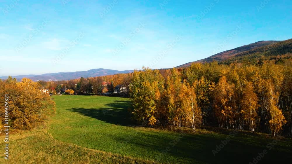 beautiful video drone over trees mountains pines autumn