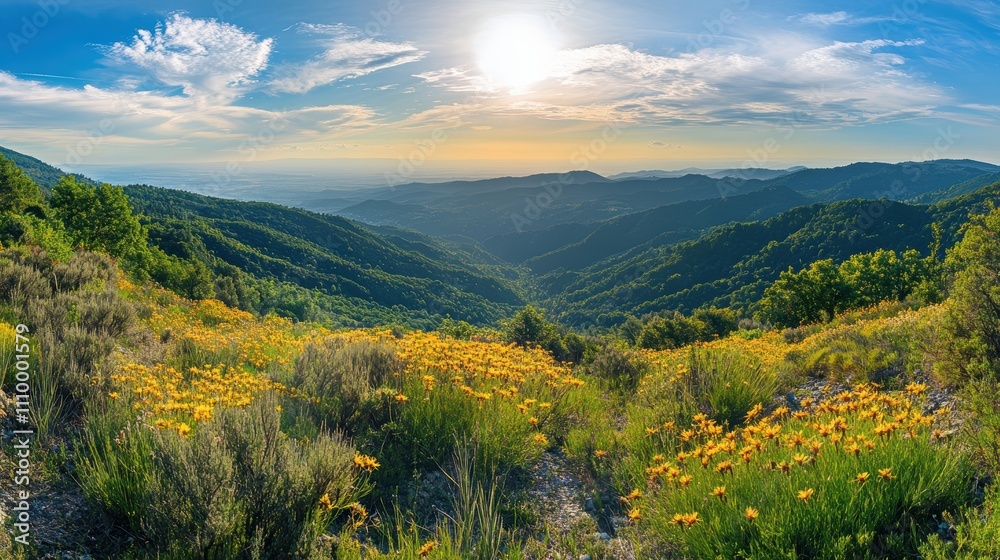 Obraz premium A beautiful mountain landscape with a sun shining on the grass