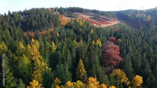 Aerial: Drone Downward Beautyful Shot Of Autumn Trees By Mountains In National Park - Aspen, Colorado