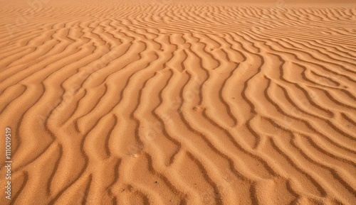  Close-up of desert sand ripples in golden tones
