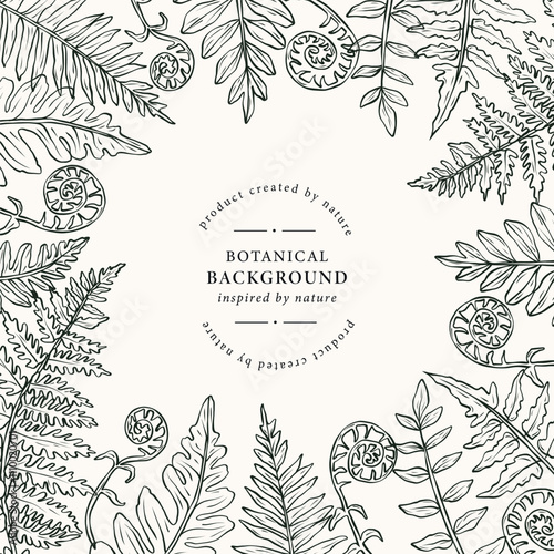 Hand drawn fern branches frame