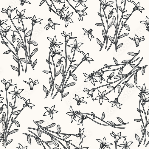 Hand drawn royal bluebell flower background. Australian native plant	