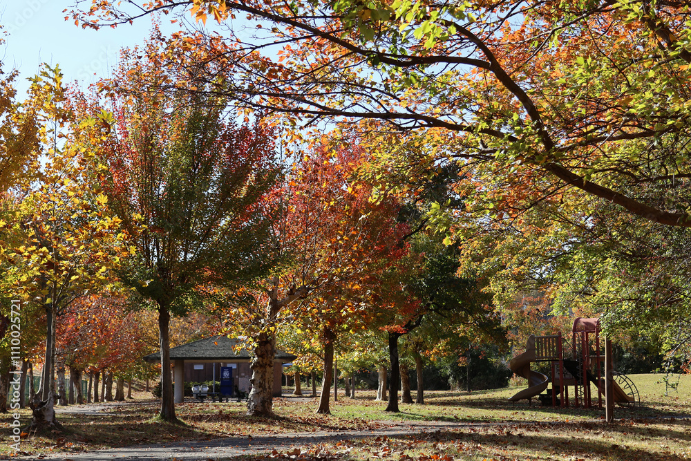 Naklejka premium 紅葉の綺麗な公園の風景