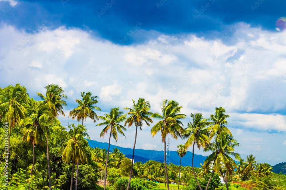 Beautiful landscape with mountains, coconut trees and blue sky. Yercaud hill station, Tamil Nadu, India Beautiful landscape with mountains, coconut trees and blue sky. Yercaud hill station, Tamil Nadu, India