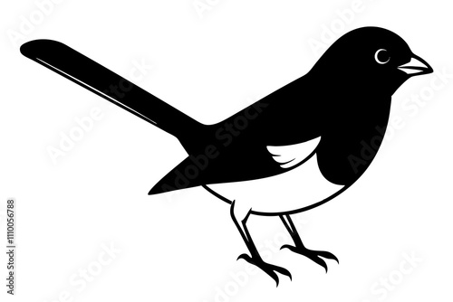 Eastern towhee | isolated vector silhouette illustration on white background photo