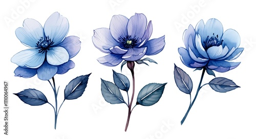 Watercolor Set Flowers, Leaves, and Branches on White Canvas