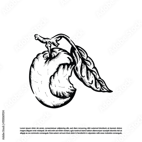 Vintage retro hand drawn bitten apple fruit vector art