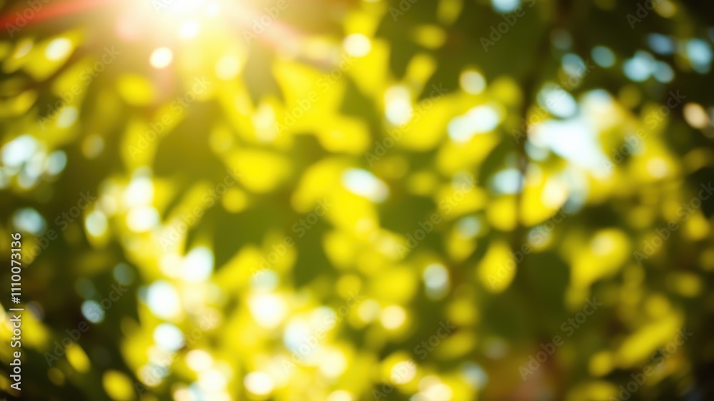 Sunlight Through a Canopy of Leaves Creates a Dreamy, Abstract Blur of Green and Yellow Tones Sunlight Through a Canopy of Leaves Creates a Dreamy, Abstract Blur of Green and Yellow Tones