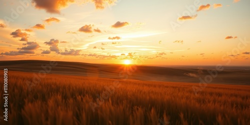 A golden sunset illuminates rolling hills, casting long shadows on a field of wheat, a picturesque scene of natural beauty