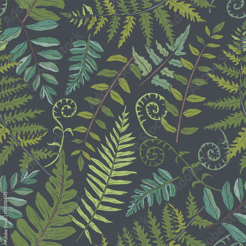Hand drawn fern branches background