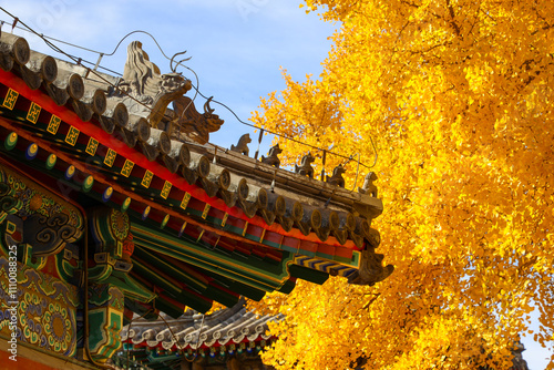 Cheng'en Temple, Shijingshan, Beijing, China photo