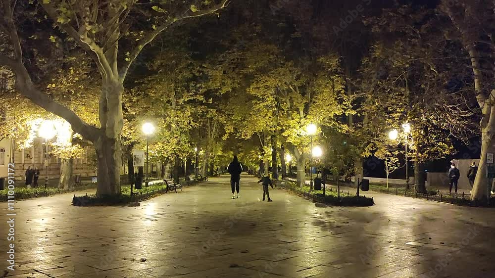 People walking in the park with glowing street lights and with a strong wind in the city on an autumn evening