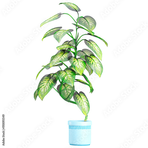 collection of Dieffenbachia seguine in pot with realistic style photo