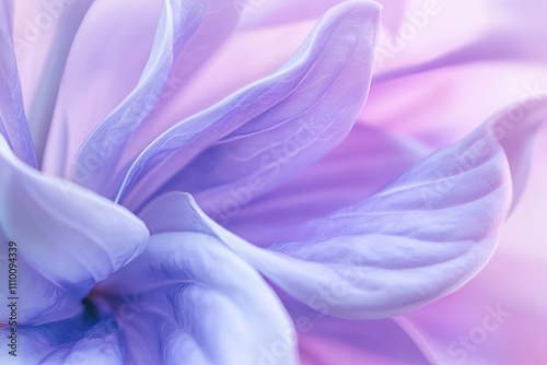 Close-up of a purple lilac flower with delicate petals and sweet fragrance