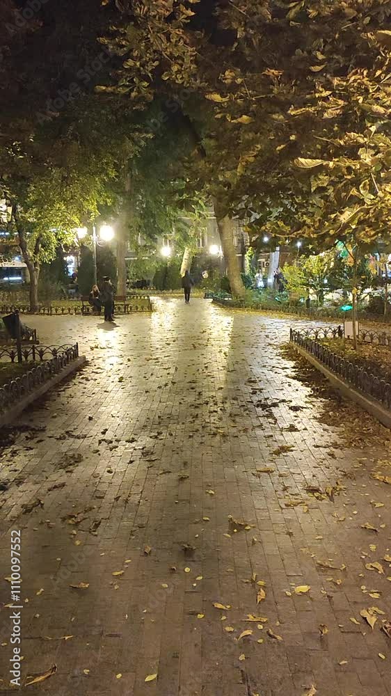 People walking in the park with glowing street lights in the city on an autumn evening. Vertical