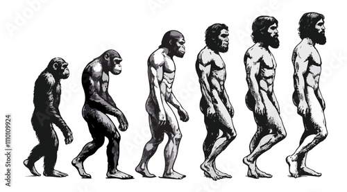 evolution of man from ape through various stages to modern human sketch engraving character vector illustration. high resolution
