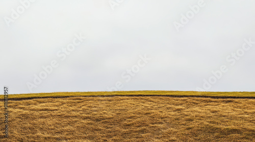 Golden grass field under a cloudy sky with muted colors showcasing nature's tranquility