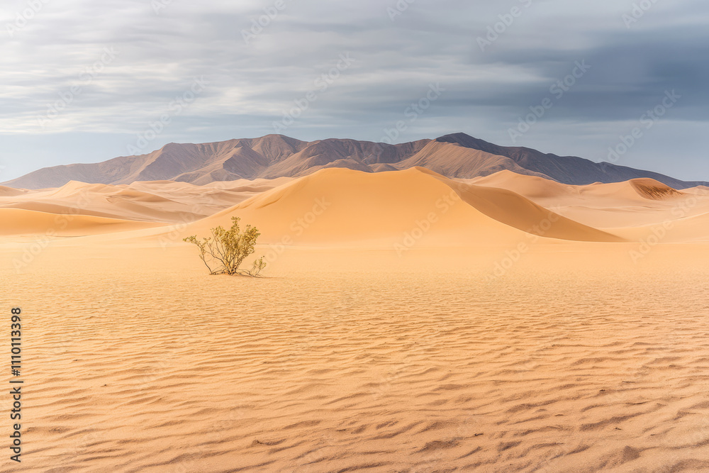 Fototapeta premium Expansive sandy landscape with distant mountains under a soft cloudy sky