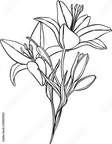 Flowers vector bouquet. Hand drawn bouquet of lilies.