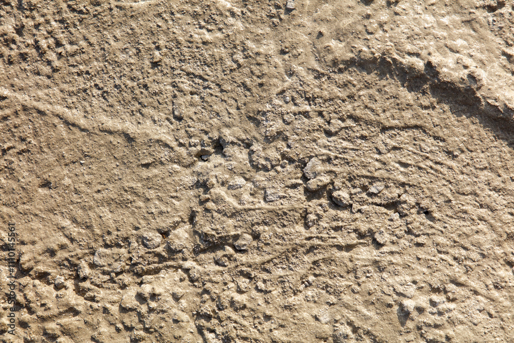 A sandy surface with a few rocks scattered about A sandy surface with a few rocks scattered about