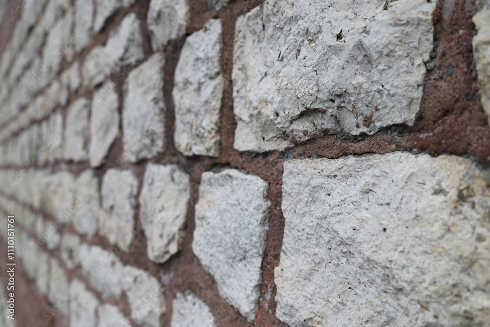 Fototapeta premium Historic Wall Texture