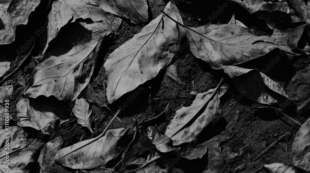 Dry leaves on the ground creating a textured monochrome background for nature or seasonal-themed designs and layouts. Dry leaves on the ground creating a textured monochrome background for nature or seasonal-themed designs and layouts.