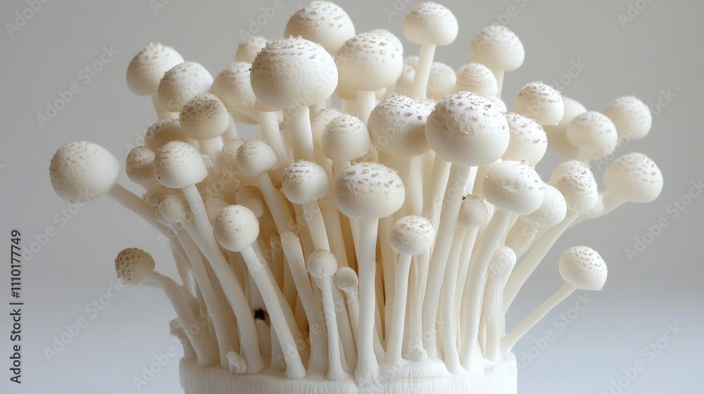 Fresh enoki mushrooms arranged artistically on a clean white background showcasing their delicate structures and unique appearance Fresh enoki mushrooms arranged artistically on a clean white background showcasing their delicate structures and unique appearance