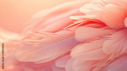 Soft pink vintage chicken feather texture background for elegant and delicate design projects.