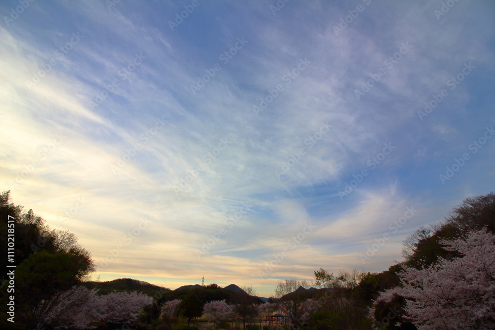 Obraz premium 桜の季節の夕方の空
