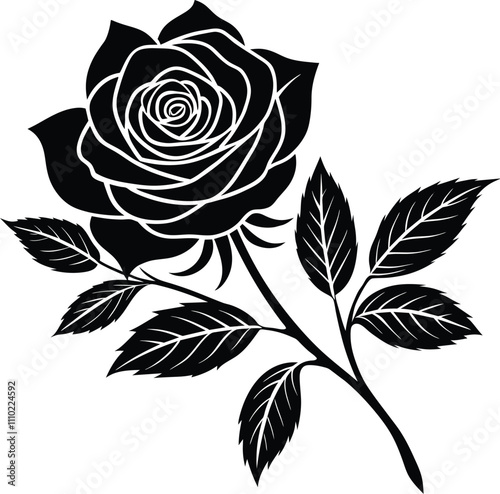 Elegant Black Rose Vector Illustration on white background with branch