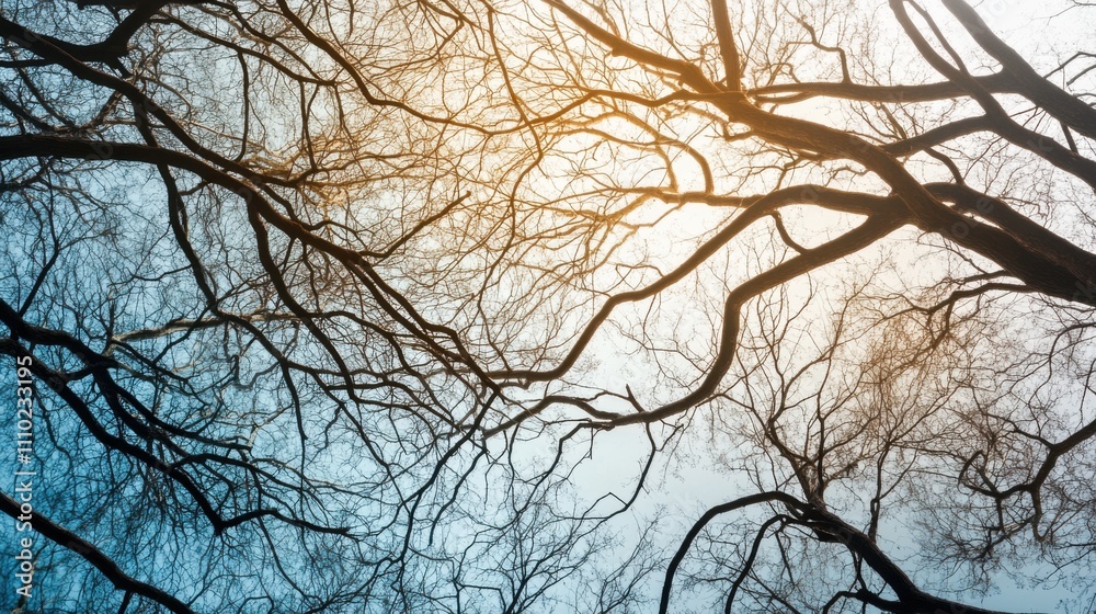 An abstract representation of cross-generational understanding with intertwined tree branches of different ages, symbolizing the strength of intergenerational relationships, minimalist composition An abstract representation of cross-generational understanding with intertwined tree branches of different ages, symbolizing the strength of intergenerational relationships, minimalist composition