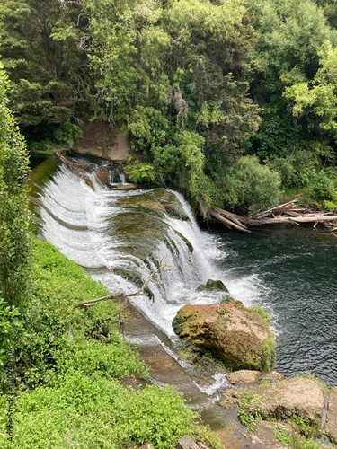 waterfall in the forest