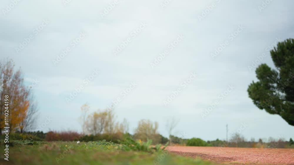 Energetic young woman jogging through a scenic park setting Energetic young woman jogging through a scenic park setting