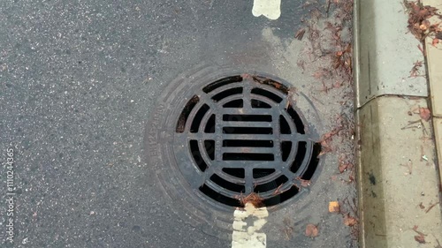 The Intricate Drain Grate found on the Paved Roadway serves multiple essential functions
