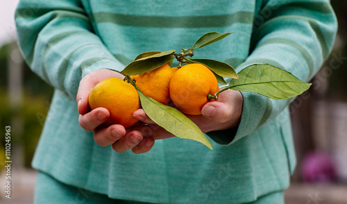 Woman holding fresh mandarins with leaves close-up