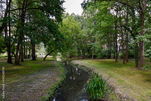 Wooded stream in summer park in Konstancin Jeziorna surrounded by trees and greenery photo