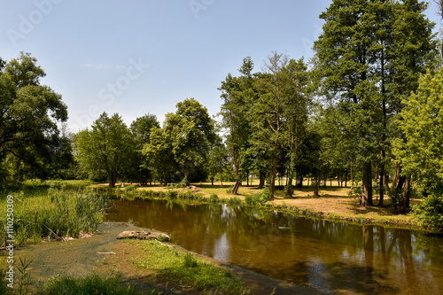 Scenic Summer Landscape with Calm River and Lush Greenery in Poland