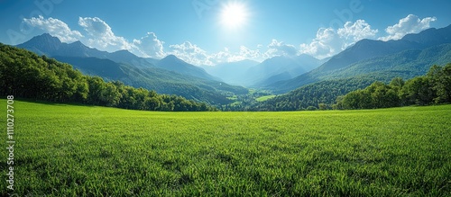Lush green valley landscape with vibrant grass, majestic mountains, and a clear blue sky under bright sunlight showcasing nature's beauty.