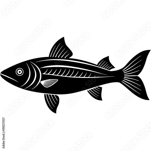 fish on a white background