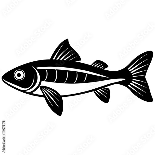 fish on a white background