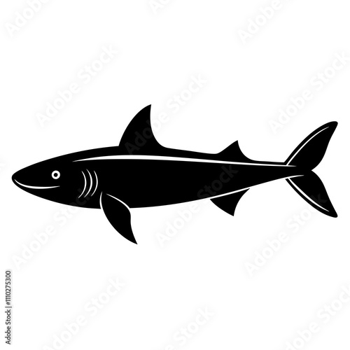 fish on white background