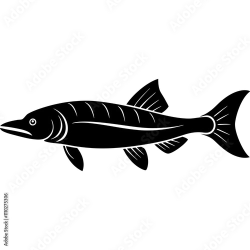 fish on a white background