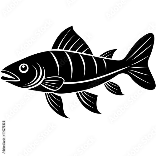 fish isolated on white