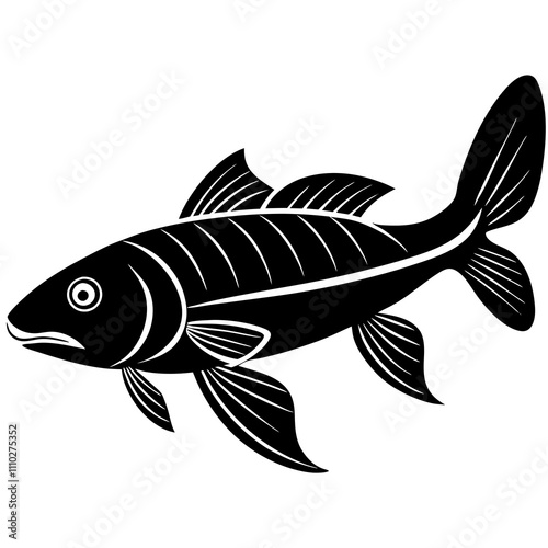 fish isolated on white
