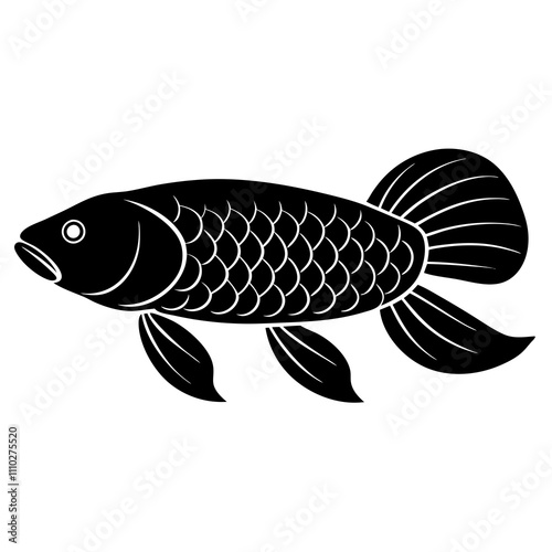 fish on a white background